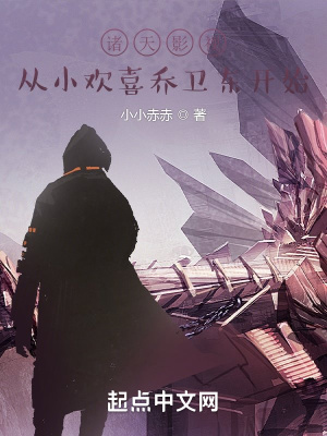 诸天影视从小欢喜乔卫东开始封面